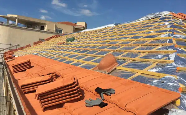 Présentation Romy Renov