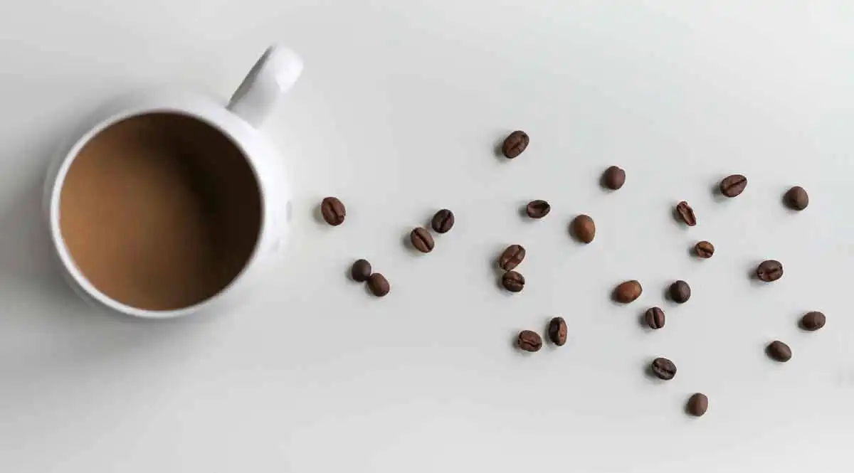 Actualité : Café Privilège pour vos instants autour du café Café Privilège pour vos instants autour du café