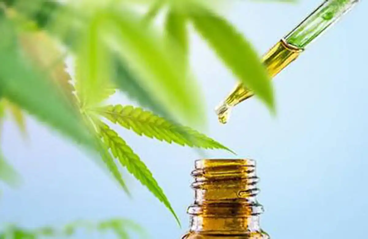 Vente de CBD en gros : développement du marché du CBD en Europe