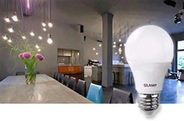 Présentation Silamp