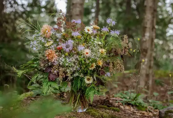 Fleuriste de plantes sauvages