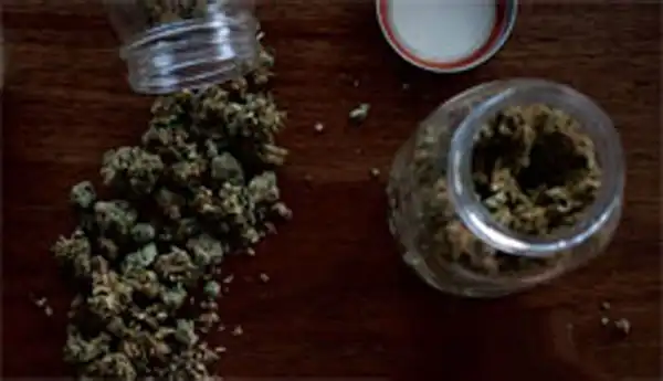 Présentation Swiss Botanic