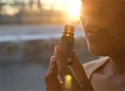 Présentation Swiss Botanic