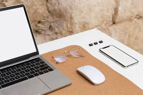 Présentation Lyonnaise de Gestion et Marketing