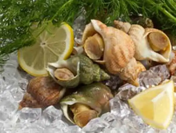 Poissonnerie Les Glacieres du Val de Saône