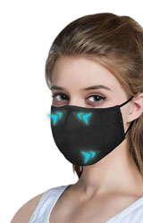Présentation Masque de Protection