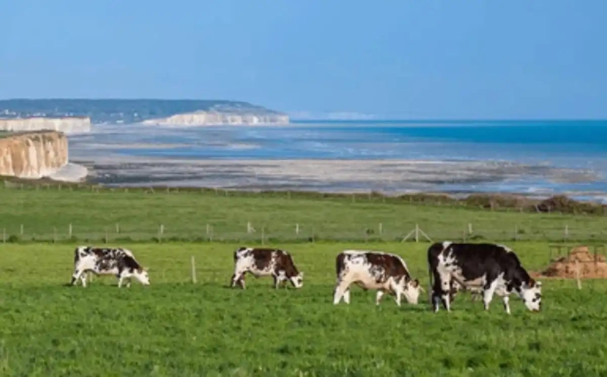 Les défis de la reconversion professionnelle en milieu rural