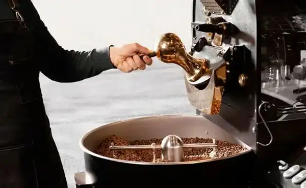 Présentation MisterBean