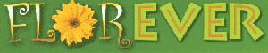 Logo FLOREVER