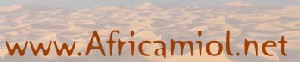 Logo AFRICAMIOL
