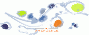 Logo AMERGENCE