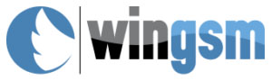 Logo WINGSM