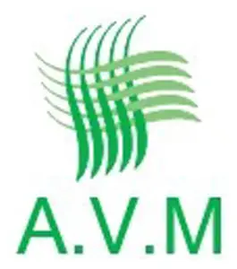 Logo AVM