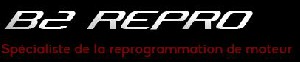 Logo B2 REPRO
