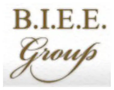Logo BIEE GROUP