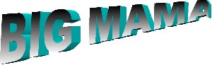 Logo BIG MAMA