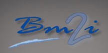 Logo BM 2I TECHNOLOGIES SARL