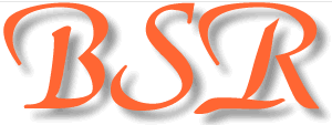 Logo BS RECRUTEMENT