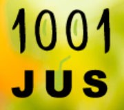Logo 1001 JUS