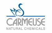 Logo CARMEUSE FRANCE