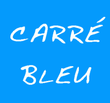 Logo CARRÉ BLEU