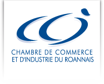Logo CCI DE ROANNE