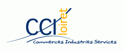 Logo CCI DU LOIRET