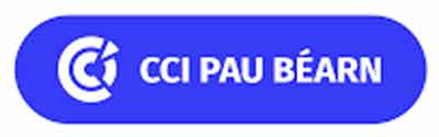 Logo CCI PAU BÉARN