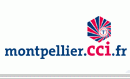 Logo CCIT DE MONTPELLIER