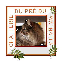 Logo CHATTERIE DU PRÉ DU WALHALLA