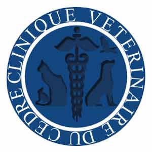 Logo CLINIQUE VÉTÉRINAIRE DU CÈDRE