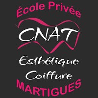 Logo CNAT
