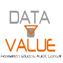 Logo DATA VALUE