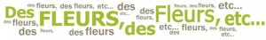 Logo DES FLEURS DES FLEURS ETC