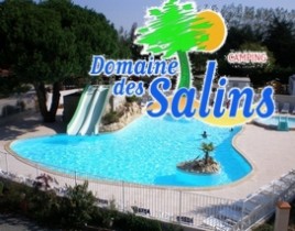 Logo DOMAINE DES SALINS