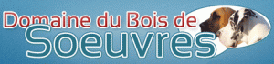 Logo DOMAINE DU BOIS DE SOEUVRES