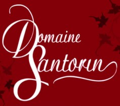 Logo DOMAINE SANTORIN