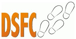 Logo DSFC