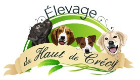 Logo ELEVAGE DU HAUT DE CRÉCY