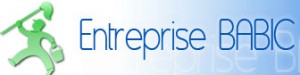 Logo ENTREPRISE BABIC