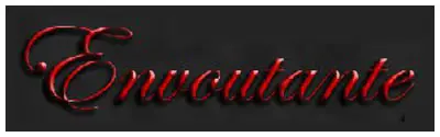 Logo ENVOUTANTE