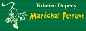 Logo FABRICE DEPREY