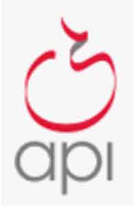 Logo GROUPE API