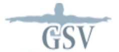 Logo GSV-COMMUNICATION