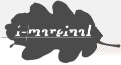 Logo I-MARGINAL
