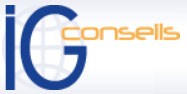 Logo IG CONSEILS