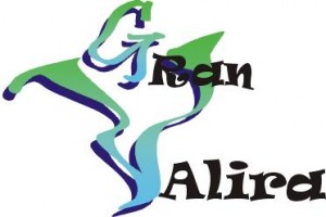 Logo IMMOBILIARIA GRAN VALIRA