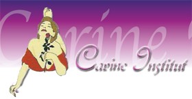 Logo INSTITUT DE BEAUTÉ CARINE ESTHÉTIQUE