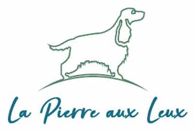 Logo LA PIERRE AUX LEUX