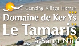 Logo LE TAMARIS